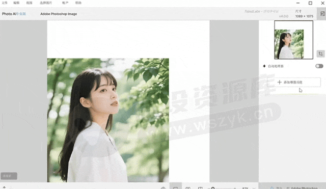 图片[6]-AI后期增强放大神器–Topaz Photo Pro 1.1.2 汉化安装版，附赠35G离线AI模型-资源速享