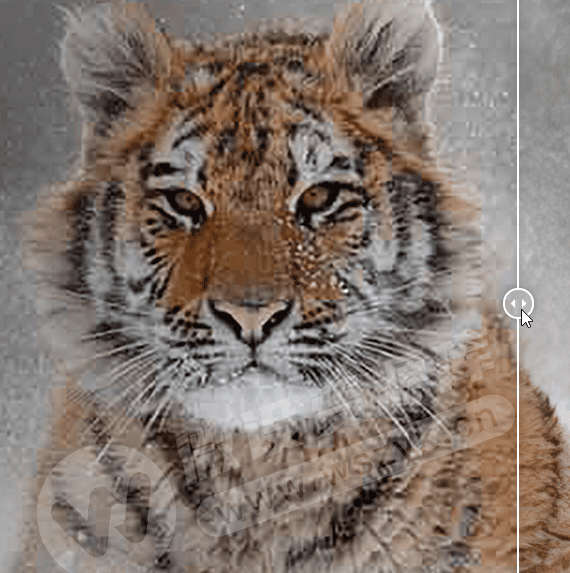 图片[13]-AI后期增强放大神器–Topaz Photo Pro 1.1.2 汉化安装版，附赠35G离线AI模型-资源速享