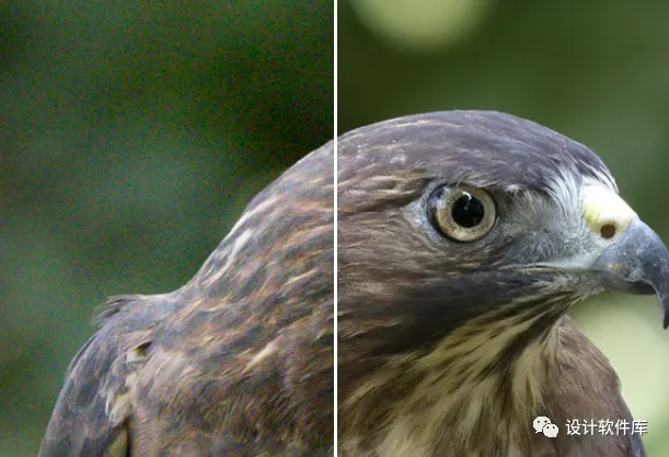 图片[14]-AI后期增强放大神器–Topaz Photo Pro 1.1.2 汉化安装版，附赠35G离线AI模型-资源速享