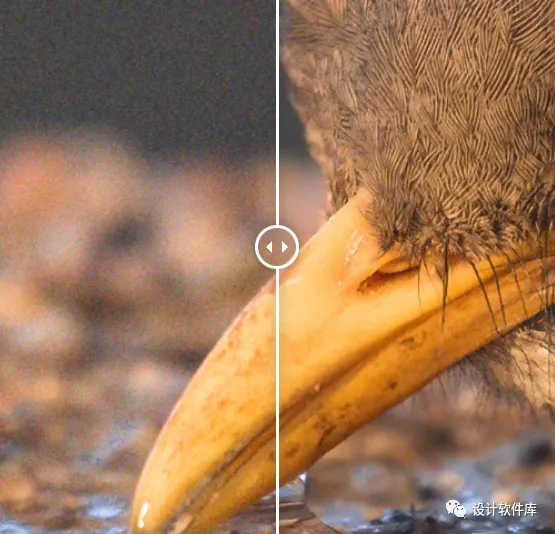 图片[15]-AI后期增强放大神器–Topaz Photo Pro 1.1.2 汉化安装版，附赠35G离线AI模型-资源速享