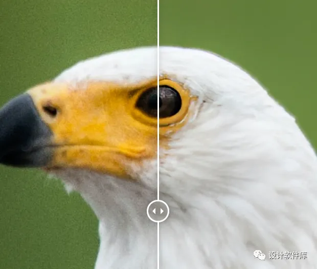 图片[16]-AI后期增强放大神器–Topaz Photo Pro 1.1.2 汉化安装版，附赠35G离线AI模型-资源速享