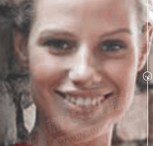 图片[17]-AI后期增强放大神器–Topaz Photo Pro 1.1.2 汉化安装版，附赠35G离线AI模型-资源速享